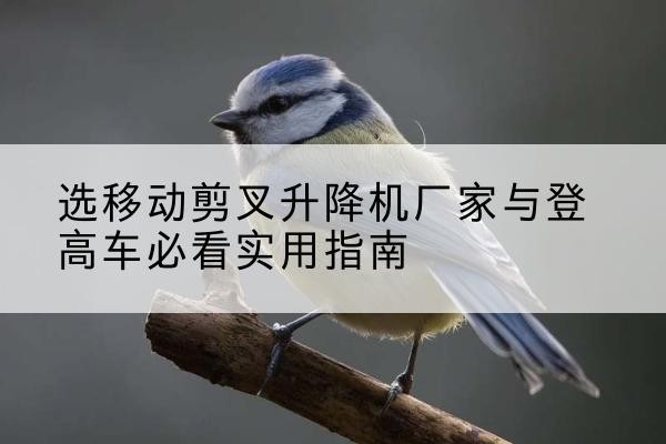 和平电动升降机厂家-选移动剪叉升降机厂家与登高车必看实用指南