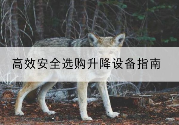 和平升降货梯厂家推荐-*安全选购升降设备指南